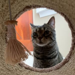 Meet your Posher, Kris